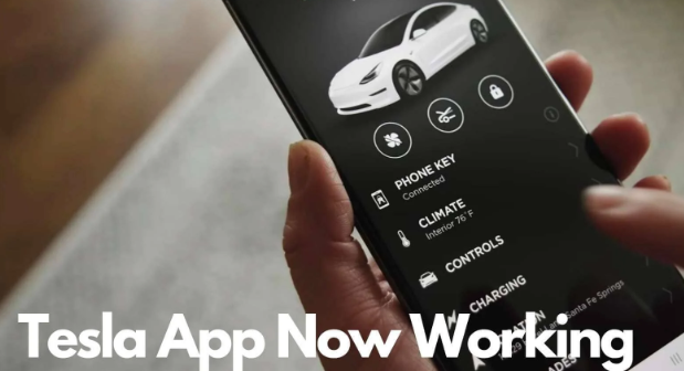 My Tesla App Not Working